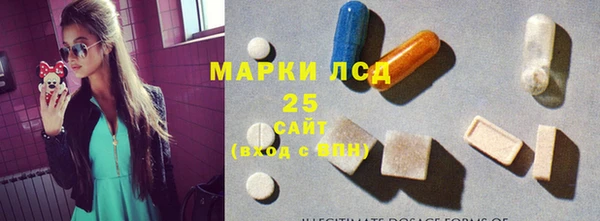 ГАЛЛЮЦИНОГЕННЫЕ ГРИБЫ Верея