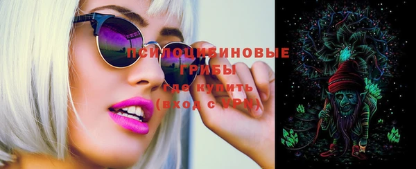 стаф Верхний Тагил
