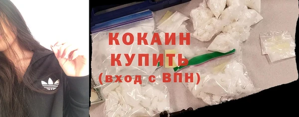 ГАЛЛЮЦИНОГЕННЫЕ ГРИБЫ Верея