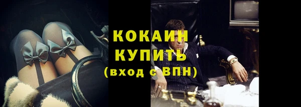 ГАЛЛЮЦИНОГЕННЫЕ ГРИБЫ Верея