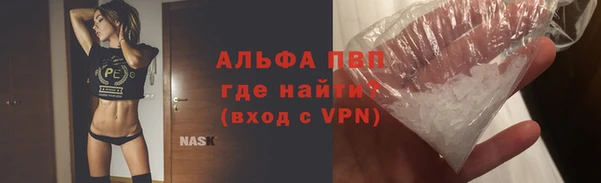 ГАЛЛЮЦИНОГЕННЫЕ ГРИБЫ Верея