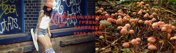 стаф Верхний Тагил