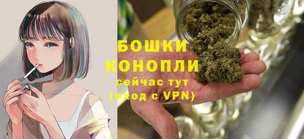 ГАЛЛЮЦИНОГЕННЫЕ ГРИБЫ Верея