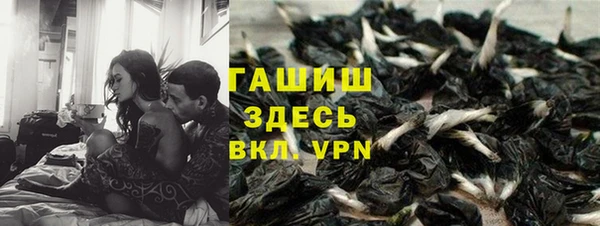 ГАЛЛЮЦИНОГЕННЫЕ ГРИБЫ Верея