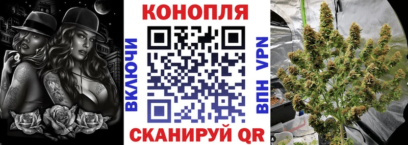 Каннабис конопля Исилькуль