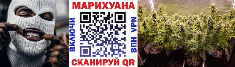 Конопля план  Купить закладки  Исилькуль 